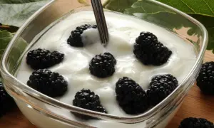 Pyszny jogurt z owocami morwy. Słodkie, soczyste owoce morwy pływają w kremowym jogurcie, tworząc idealne połączenie smaków.