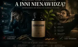 Ashwagandha co daje? Spokój umysłu, lepszy sen, mniej stresu, więcej energii. Ale u niektórych może powodować zamulenie.