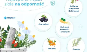 Zioła na odporność: jeżówka, czarny bez, żeń-szeń, rokitnik, czystek i dzika róża w moździerzu.