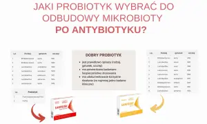 Wybór probiotyku po antybiotyku: zestawienie szczepów bakterii i prebiotyków, z przykładami produktów Sanprobi.