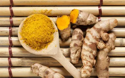 Korzeń i proszek kurkumy, znanej jako przyprawa o intensywnym kolorze. Turmeric co to? To naturalne złoto w kuchni i medycynie.