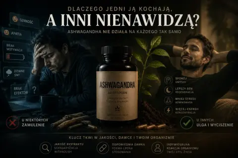 Ashwagandha co daje? Spokój umysłu, lepszy sen, mniej stresu, więcej energii. Ale u niektórych może powodować zamulenie.
