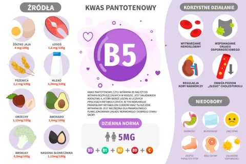 Wykres przedstawia witaminę B5, jej źródła (jajka, łosoś, pszenica, mleko, orzechy, awokado, brokuły, słonecznik), korzyści (hemoglobina, odporność, nadnercza, cholesterol) i objawy niedoboru.