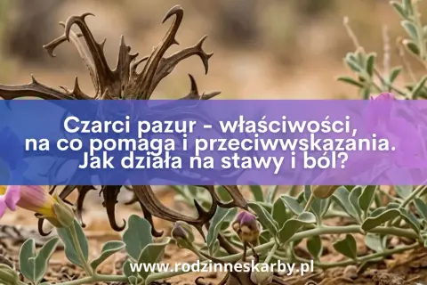 Dzikie kwiaty i sucha, kolczasta roślina, znana jako czarci pazur, z napisem o jej właściwościach leczniczych.