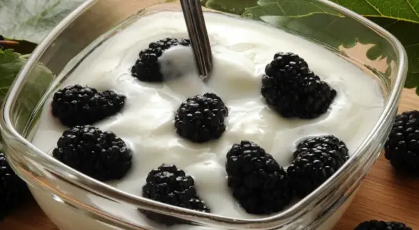 Pyszny jogurt z owocami morwy. Słodkie, soczyste owoce morwy pływają w kremowym jogurcie, tworząc idealne połączenie smaków.