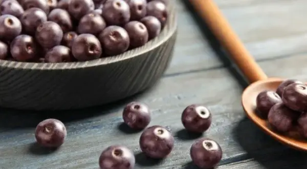 Misternie ułożone owoce acai w misie i na drewnianej łyżce. Zastanawiasz się acai co to? To te ciemne, zdrowe jagody!