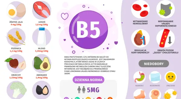 Wykres przedstawia witaminę B5, jej źródła (jajka, łosoś, pszenica, mleko, orzechy, awokado, brokuły, słonecznik), korzyści (hemoglobina, odporność, nadnercza, cholesterol) i objawy niedoboru.