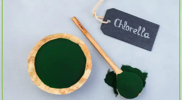 Chlorella tabletki na co pomaga? Zielony proszek w misce i na łyżce, obok tabliczka z napisem "Chlorella".