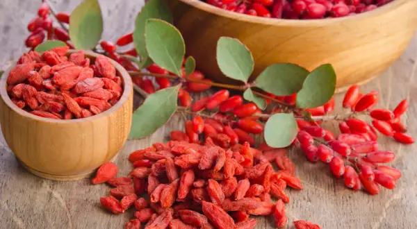 Suszone jagody goji na co? W drewnianych miseczkach i na stole leżą czerwone jagody goji, obok gałązka z świeżymi owocami.