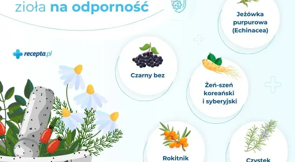 Zioła na odporność: jeżówka, czarny bez, żeń-szeń, rokitnik, czystek i dzika róża w moździerzu.