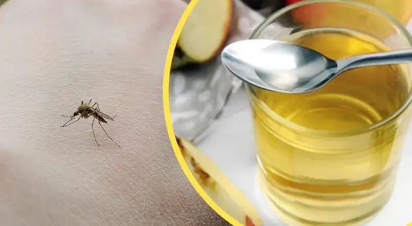 Komar na skórze i szklanka z płynem, być może ocet na komary jako naturalny sposób na pozbycie się ich.