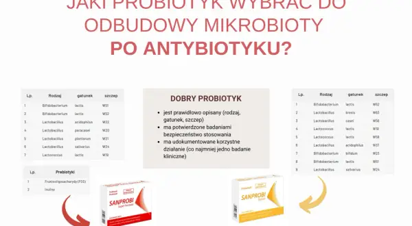 Wybór probiotyku po antybiotyku: zestawienie szczepów bakterii i prebiotyków, z przykładami produktów Sanprobi.
