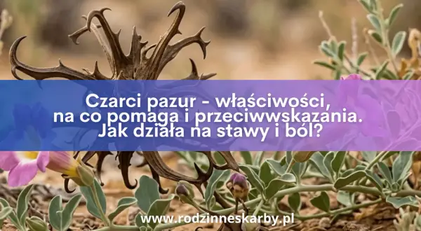 Dzikie kwiaty i sucha, kolczasta roślina, znana jako czarci pazur, z napisem o jej właściwościach leczniczych.