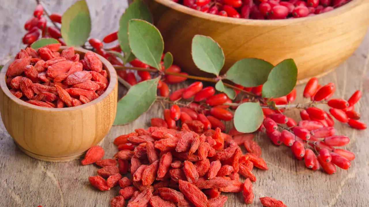 Suszone jagody goji na co? W drewnianych miseczkach i na stole leżą czerwone jagody goji, obok gałązka z świeżymi owocami.