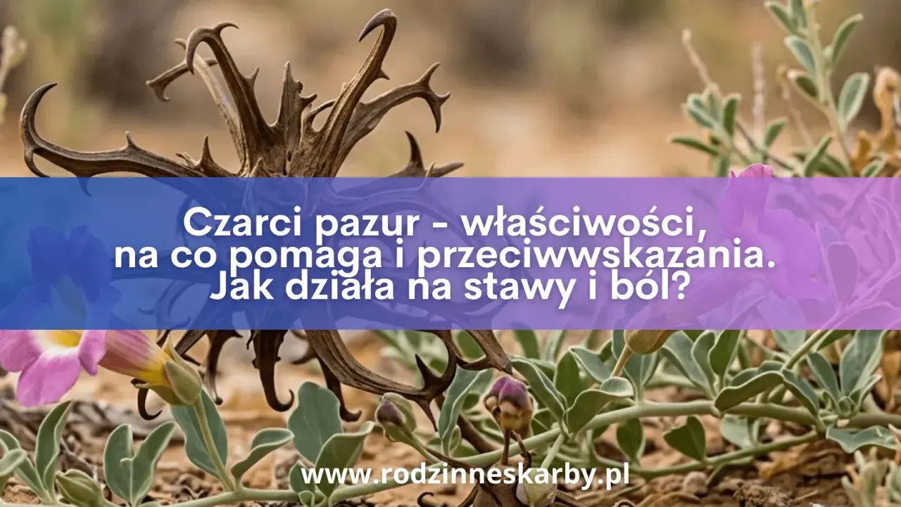 Dzikie kwiaty i sucha, kolczasta roślina, znana jako czarci pazur, z napisem o jej właściwościach leczniczych.