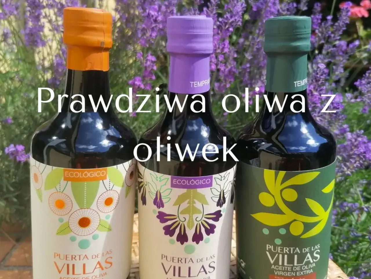 Trzy butelki prawdziwej oliwy z oliwek Puerta de las Villas na tle lawendy.