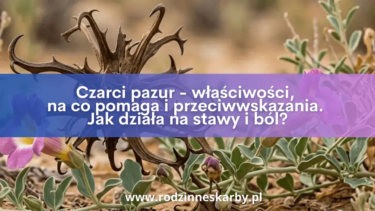 Dzikie kwiaty i zaschnięty czarci pazur. Tekst informuje o właściwościach czarciego pazura, jego zastosowaniu na stawy i b&oacute;l.