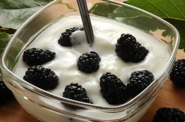 Pyszny jogurt z owocami morwy. Słodkie, soczyste owoce morwy pływają w kremowym jogurcie, tworząc idealne połączenie smaków.