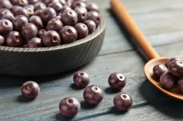 Misternie ułożone owoce acai w misie i na drewnianej łyżce. Zastanawiasz się acai co to? To te ciemne, zdrowe jagody!
