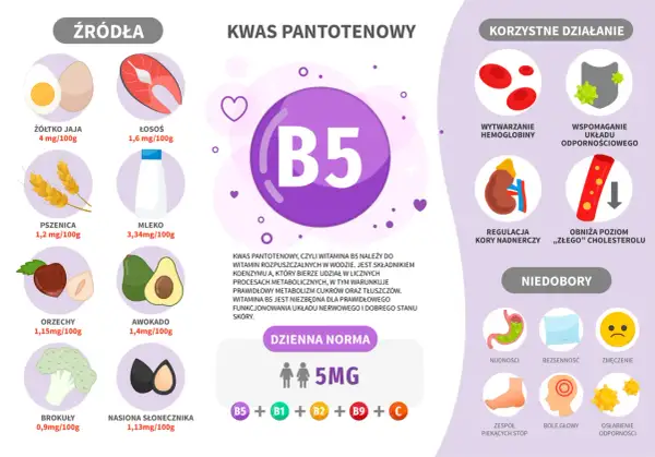 Wykres przedstawia witaminę B5, jej źródła (jajka, łosoś, pszenica, mleko, orzechy, awokado, brokuły, słonecznik), korzyści (hemoglobina, odporność, nadnercza, cholesterol) i objawy niedoboru.