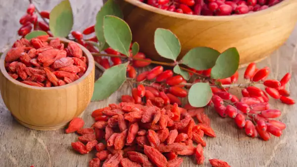 Suszone jagody goji na co? W drewnianych miseczkach i na stole leżą czerwone jagody goji, obok gałązka z świeżymi owocami.