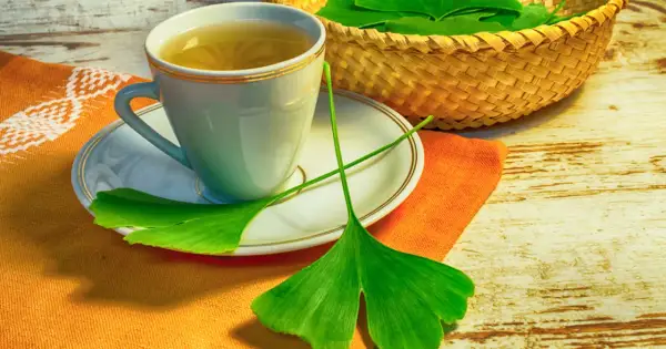 A filiżanka herbaty z miłorzębu japońskiego, liście miłorzębu w koszyku i na talerzyku.