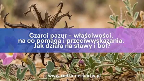 Dzikie kwiaty i sucha, kolczasta roślina, znana jako czarci pazur, z napisem o jej właściwościach leczniczych.